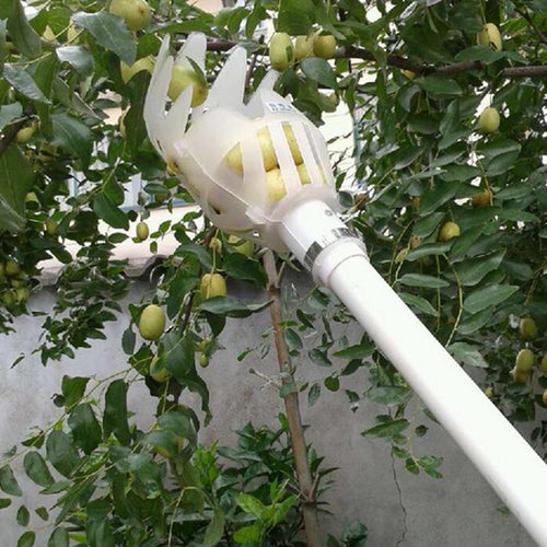 Garden tools fruit picker gardening fruits Collection picking Head tool Fruit Catcher Device Greenhouse Fruit picker